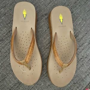 VOLATILE Platform Thong Sandals. Brown. Size 9. New!